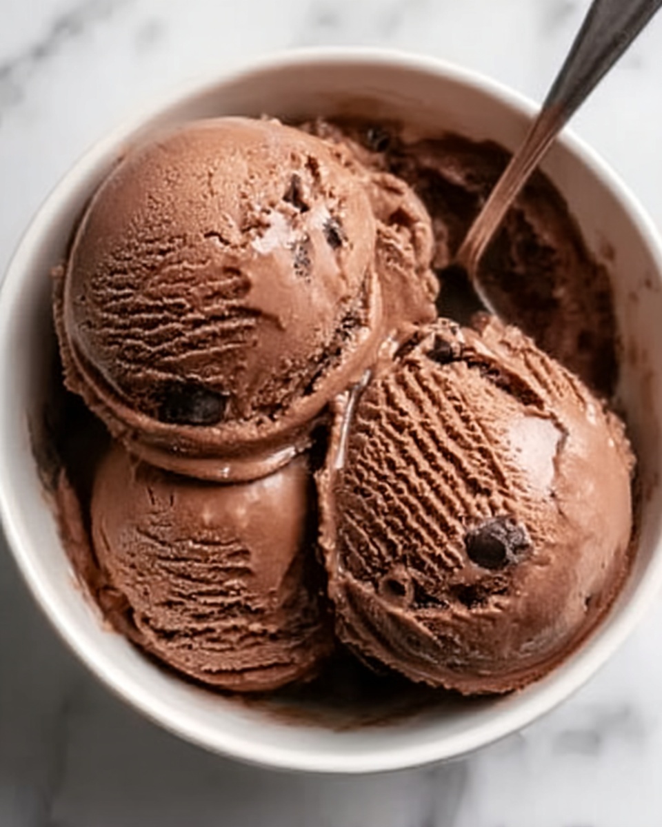 Chocolate Greek Frozen Yogurt Recipe - Recipe Image